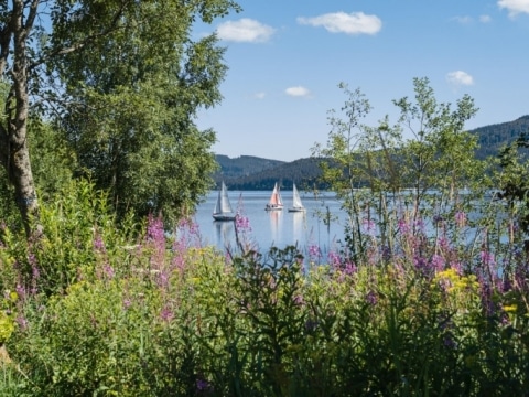 Hotel Schiff am Schluchsee