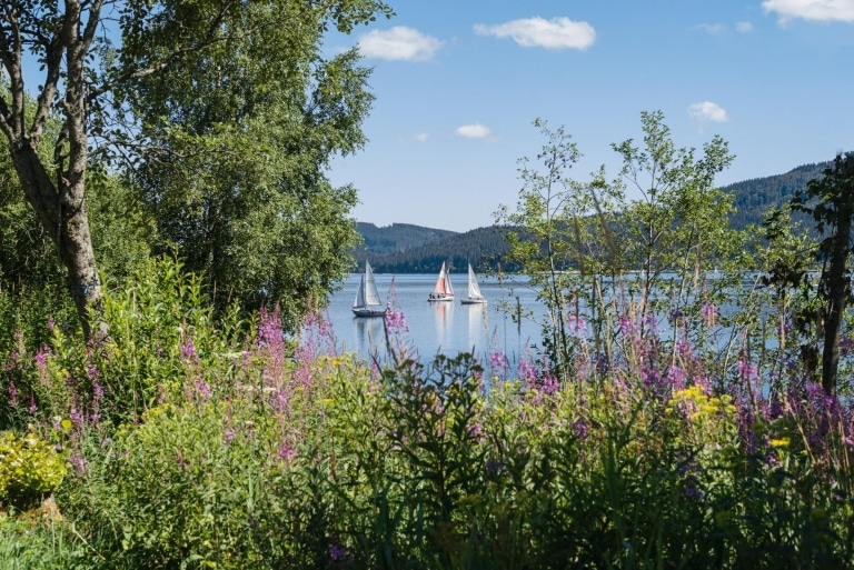 Hotel Schiff am Schluchsee